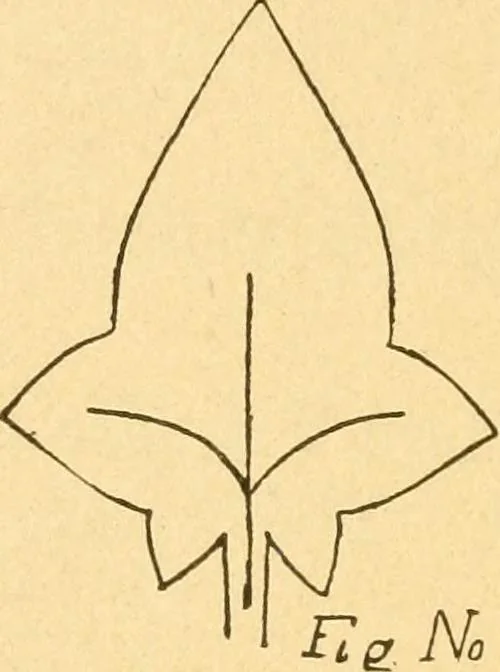 An illustration from How to teach paper-folding and cutting: a practical manual-training aid, 1892, leaf 51