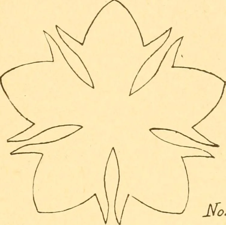 An illustration from How to teach paper-folding and cutting: a practical manual-training aid, 1892, leaf 62
