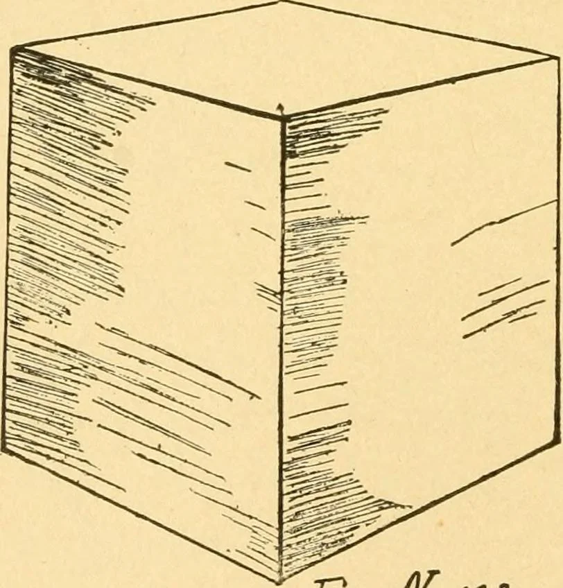 An illustration from How to teach paper-folding and cutting: a practical manual-training aid, 1892, leaf 73