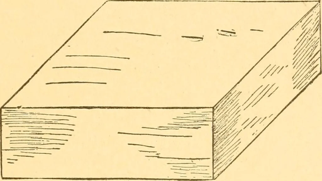 An illustration from How to teach paper-folding and cutting: a practical manual-training aid, 1892, leaf 76