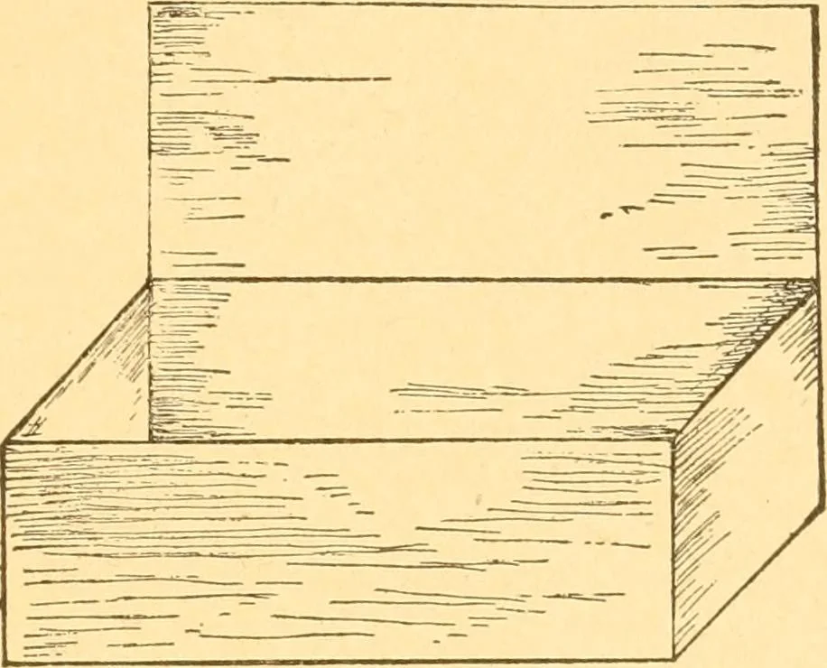 An illustration from How to teach paper-folding and cutting: a practical manual-training aid, 1892, leaf 80