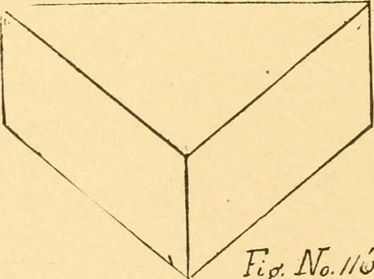 An illustration from How to teach paper-folding and cutting: a practical manual-training aid, 1892, leaf 81