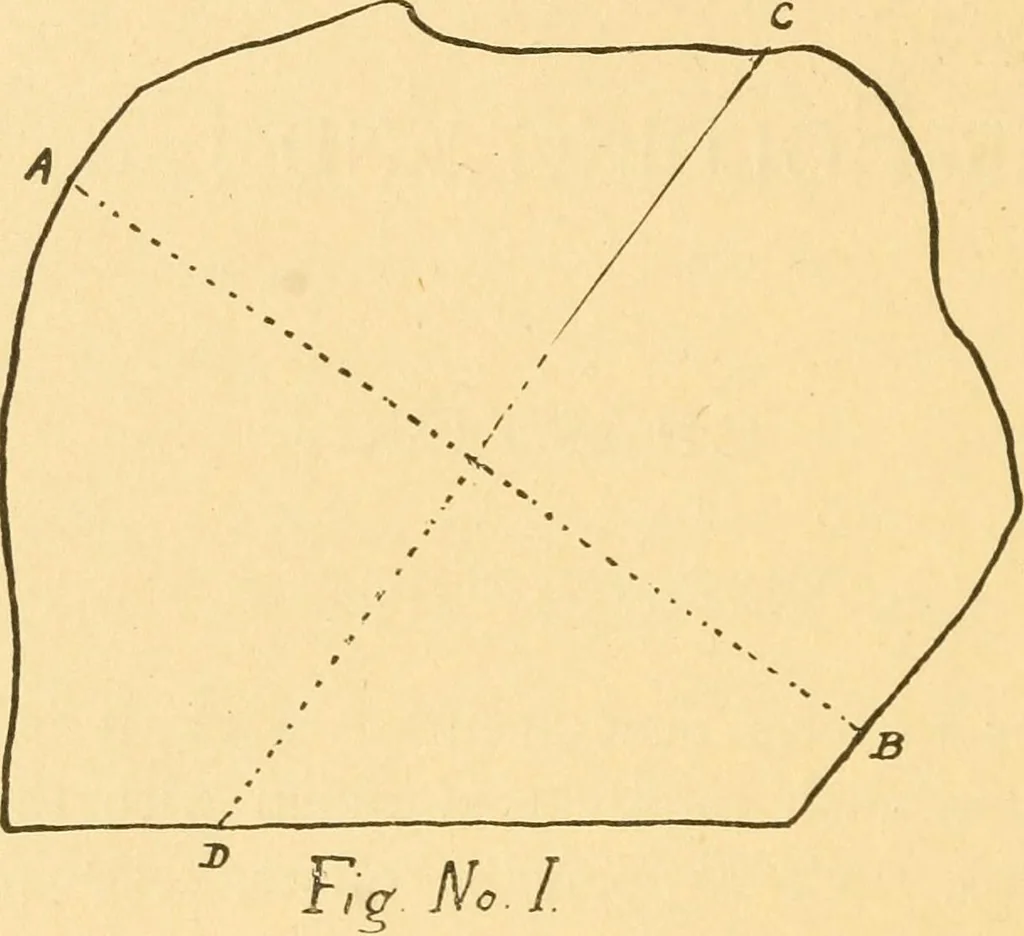 An illustration from How to teach paper-folding and cutting: a practical manual-training aid, 1892, leaf 9