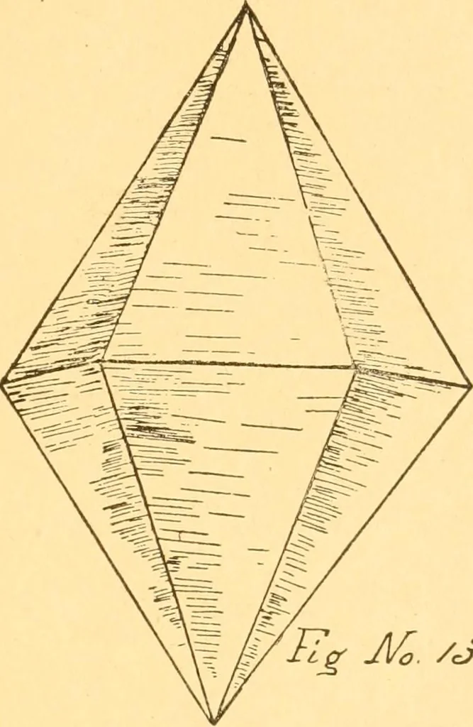 An illustration from How to teach paper-folding and cutting: a practical manual-training aid, 1892, leaf 94