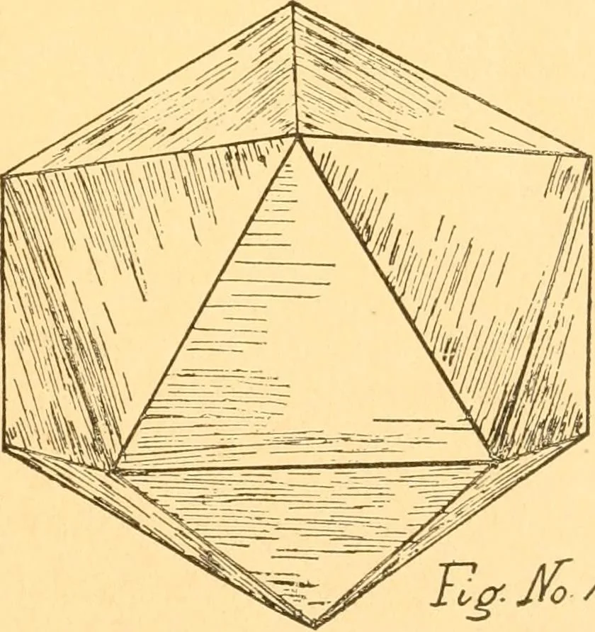 An illustration from How to teach paper-folding and cutting: a practical manual-training aid, 1892, leaf 94