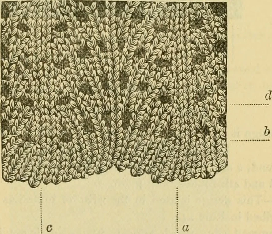 An illustration from How to use Florence knitting silk, 1883, leaf 48