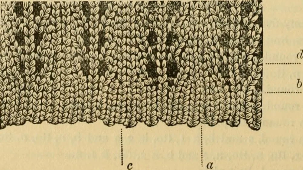 An illustration from How to use Florence knitting silk, 1883, leaf 49