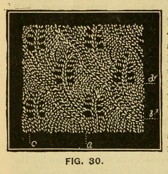 An illustration from How to use Florence knitting silk .., 1885, leaf 42