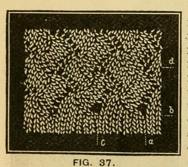 An illustration from How to use Florence knitting silk .., 1885, leaf 44