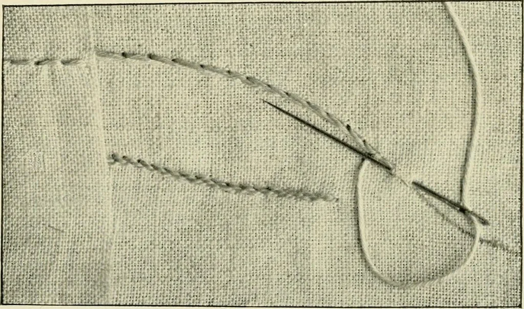 An illustration from How to work embroidery stitches; a practical method with 69 illustrations, 1909, leaf 10