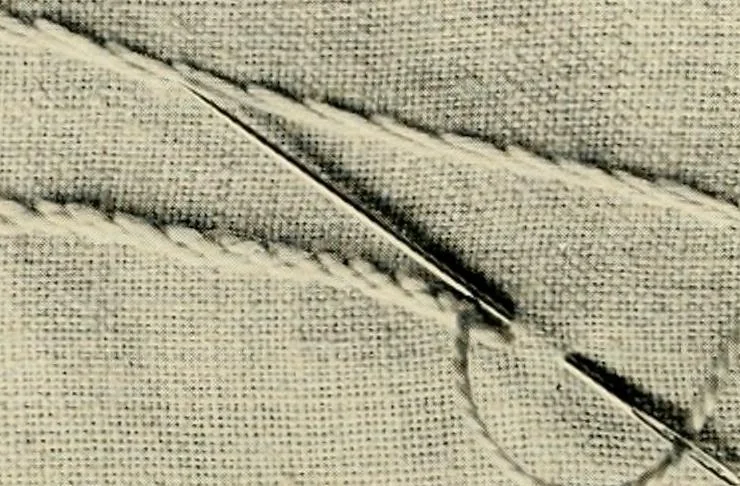 An illustration from How to work embroidery stitches; a practical method with 69 illustrations, 1909, leaf 11
