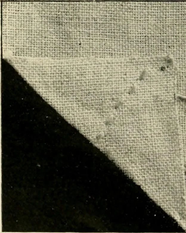 An illustration from How to work embroidery stitches; a practical method with 69 illustrations, 1909, leaf 11