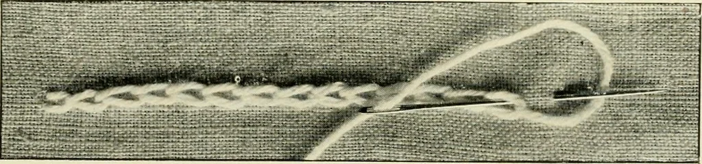 An illustration from How to work embroidery stitches; a practical method with 69 illustrations, 1909, leaf 16