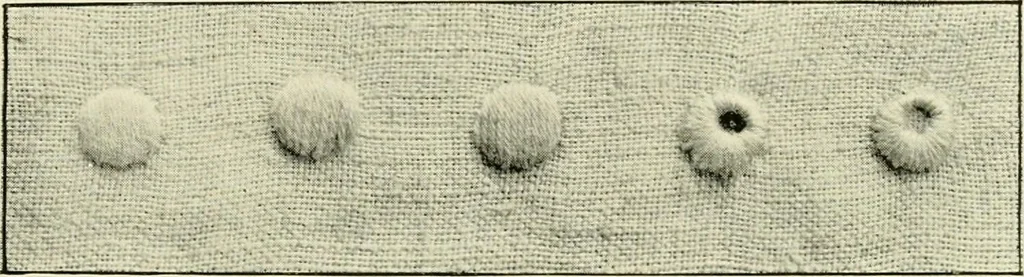 An illustration from How to work embroidery stitches; a practical method with 69 illustrations, 1909, leaf 20