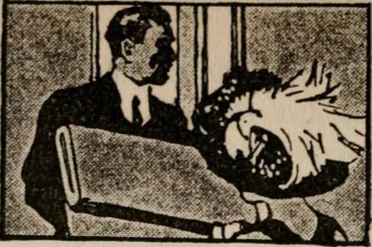An illustration from How to write advertisements that sell; how to plan every step in your campaign--using sales points, schemes and inducements--how to write and lay out copy--choosing prospect lists and mediums--tests and records that increase returns; how 146 shrewd advertisers plan and place their copy, 1912, leaf 29
