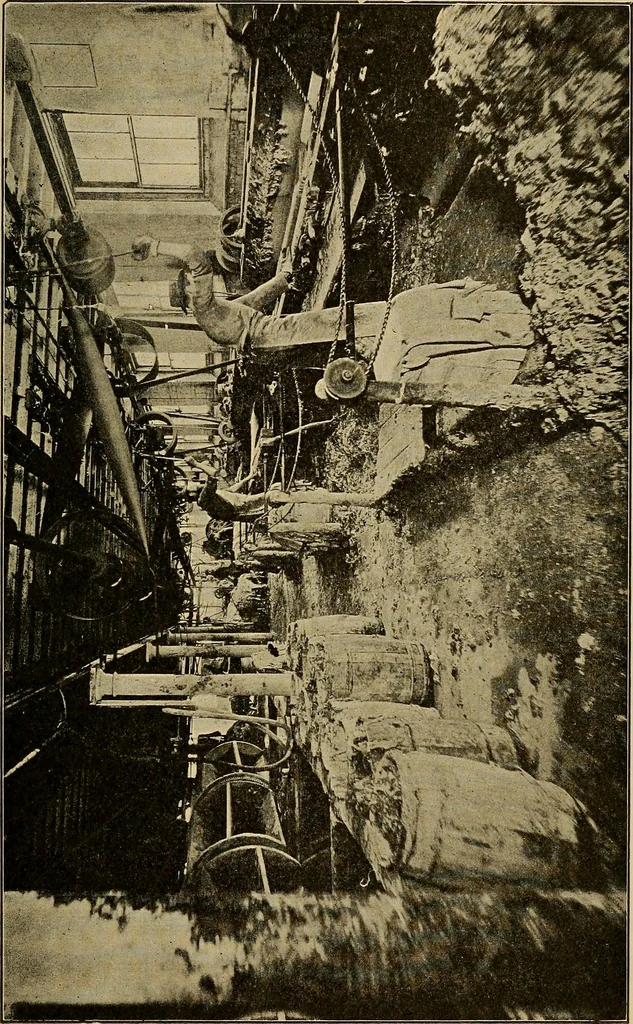 An illustration from How we are clothed ; a geographical reader, 1904, leaf 114
