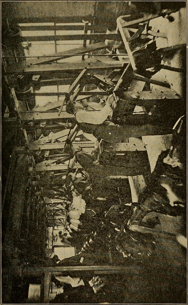 An illustration from How we are clothed ; a geographical reader, 1904, leaf 118
