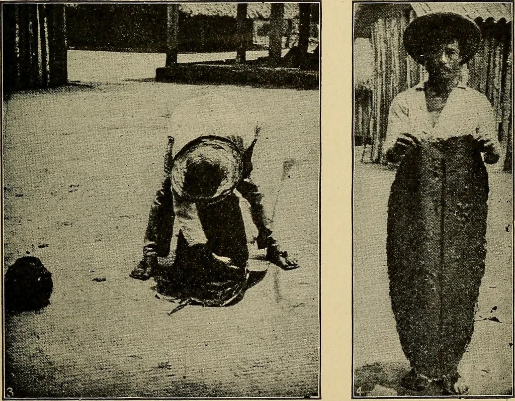 An illustration from How we are clothed ; a geographical reader, 1904, leaf 128