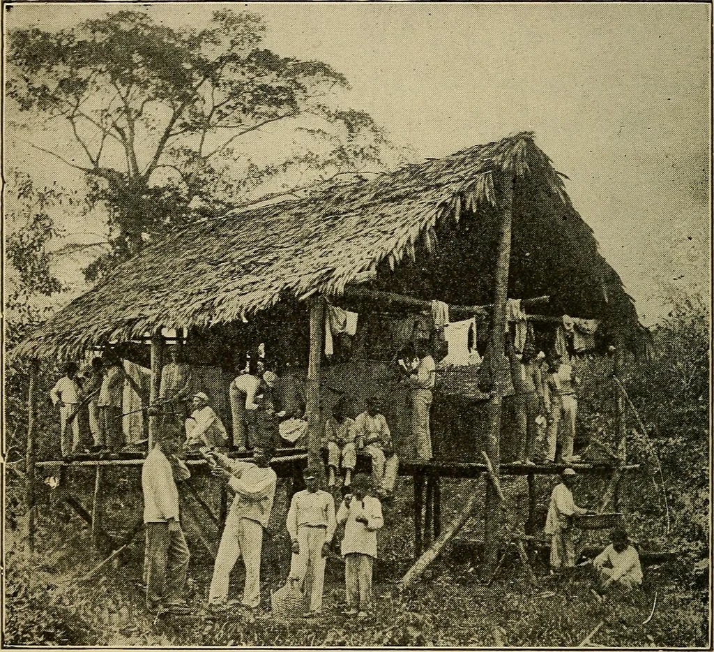 An illustration from How we are clothed ; a geographical reader, 1904, leaf 131
