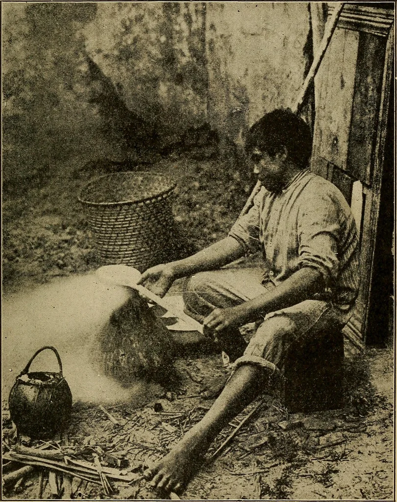 An illustration from How we are clothed ; a geographical reader, 1904, leaf 134