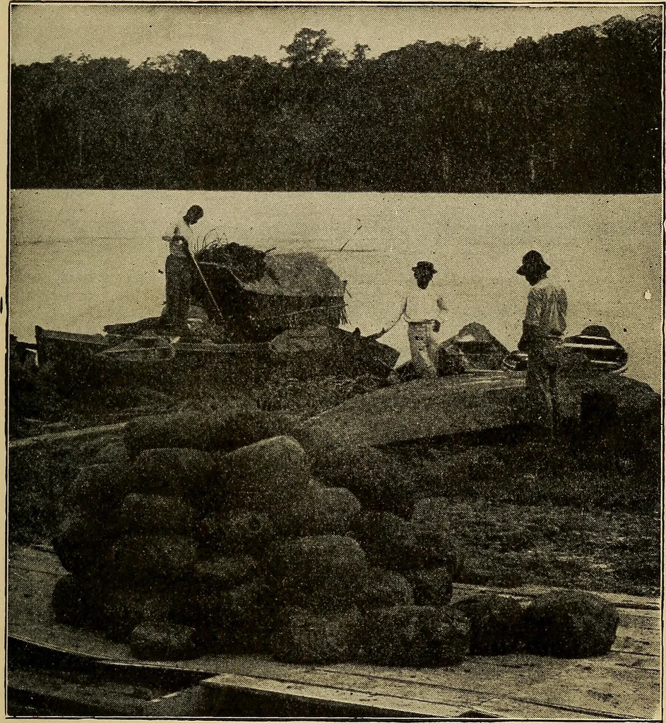 An illustration from How we are clothed ; a geographical reader, 1904, leaf 138