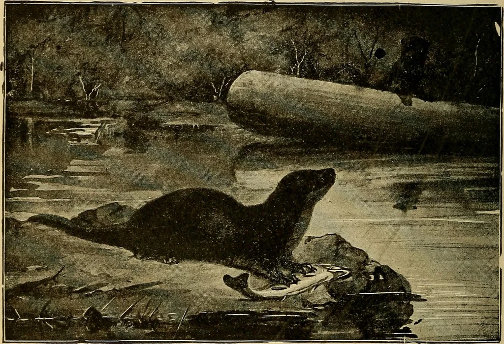 An illustration from How we are clothed ; a geographical reader, 1904, leaf 145