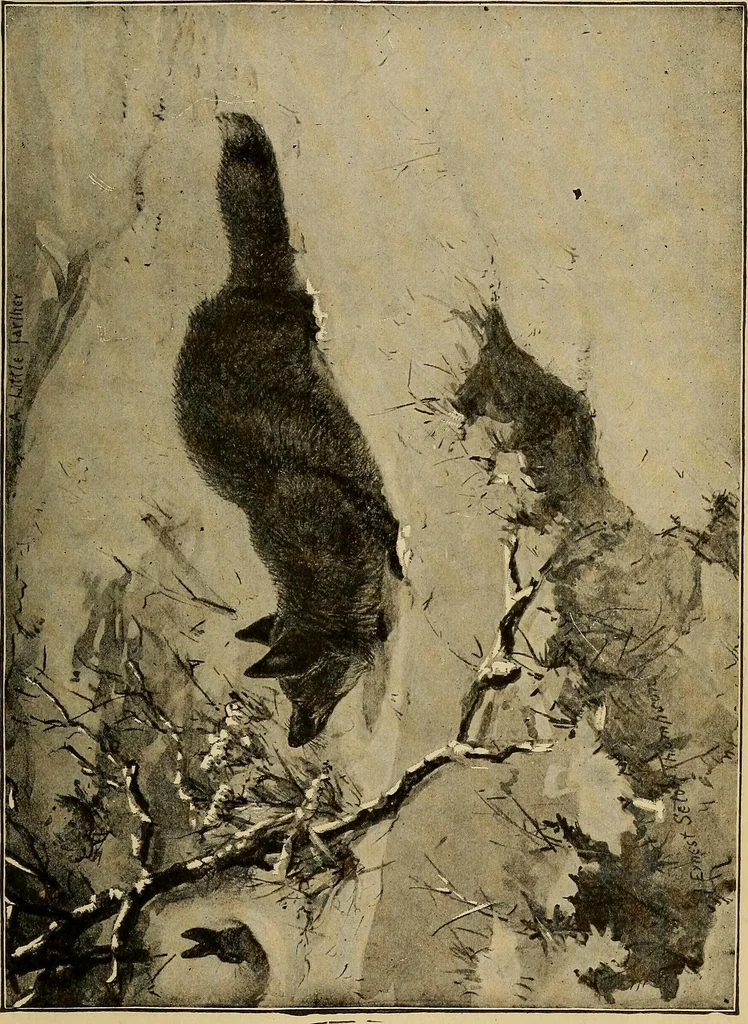 An illustration from How we are clothed ; a geographical reader, 1904, leaf 146