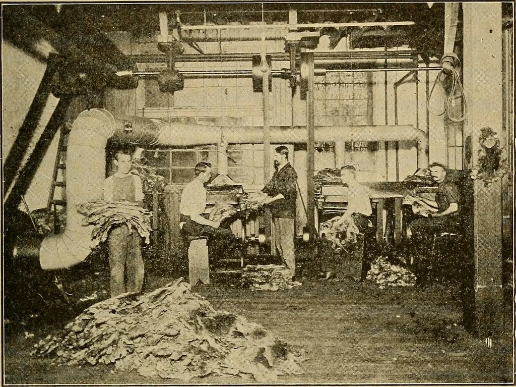 An illustration from How we are clothed ; a geographical reader, 1904, leaf 150