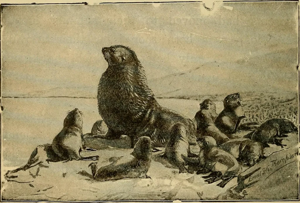 An illustration from How we are clothed ; a geographical reader, 1904, leaf 161