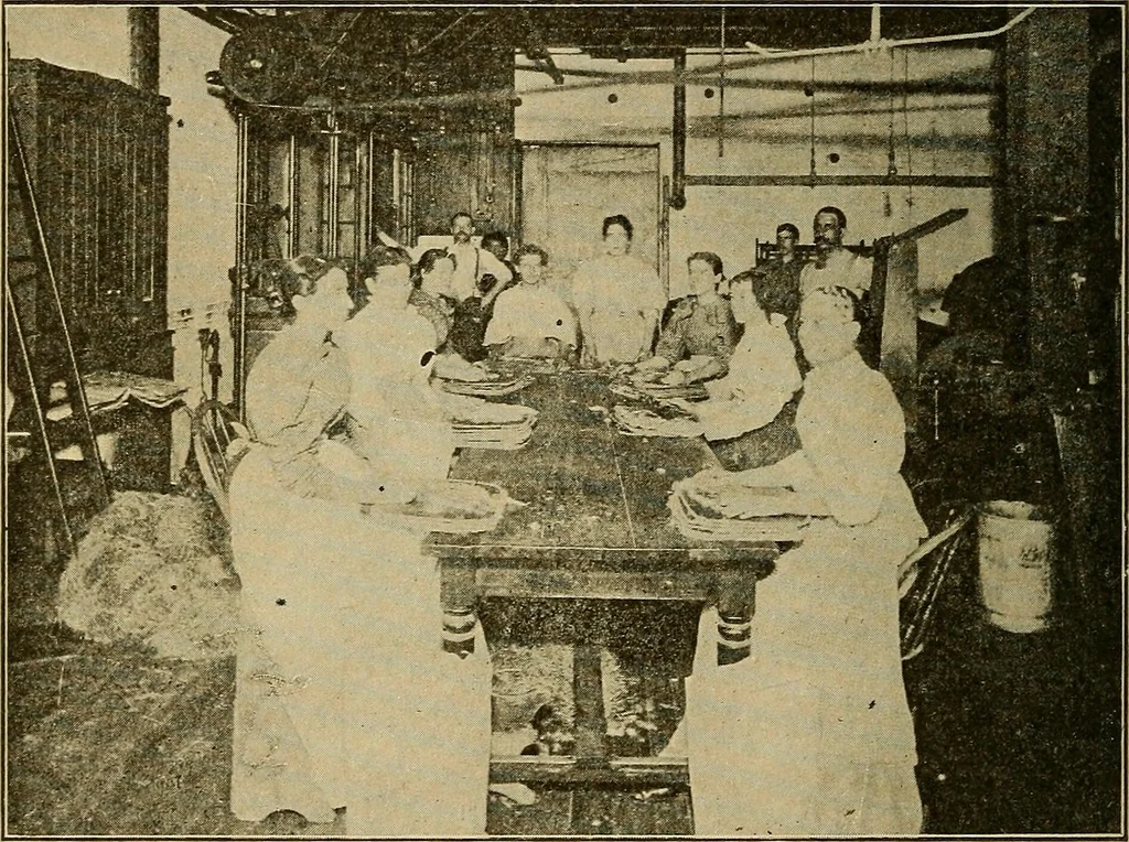 An illustration from How we are clothed ; a geographical reader, 1904, leaf 199