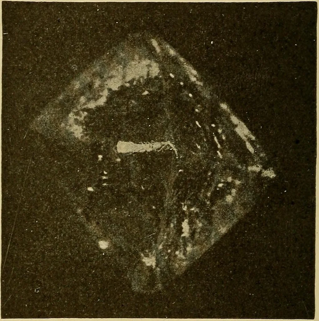 An illustration from How we are clothed ; a geographical reader, 1904, leaf 241