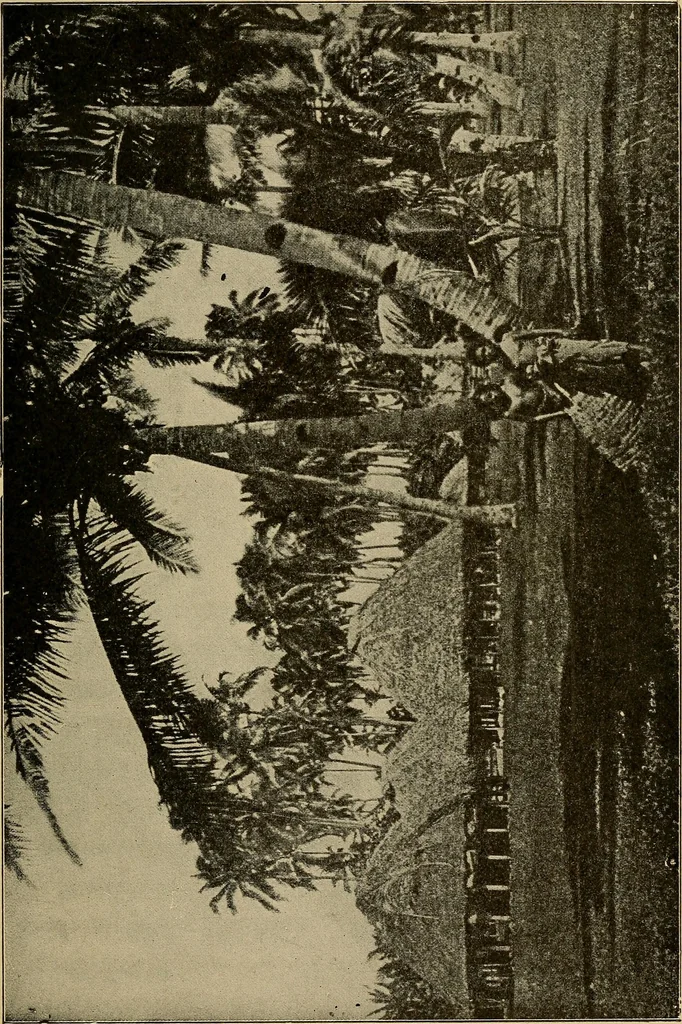 An illustration from How we are clothed ; a geographical reader, 1904, leaf 46