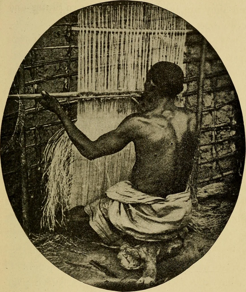 An illustration from How we are clothed ; a geographical reader, 1904, leaf 64
