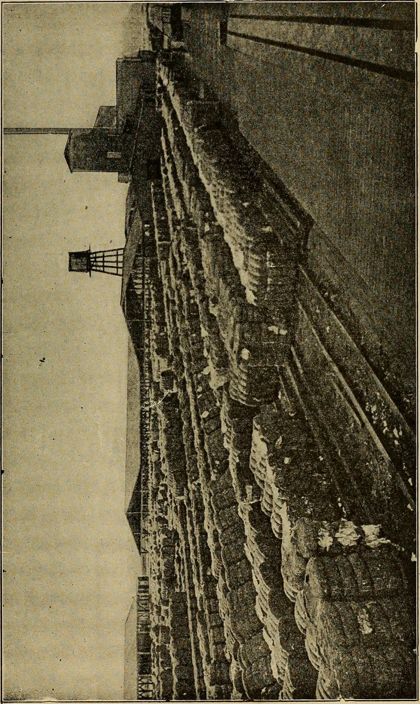 An illustration from How we are clothed ; a geographical reader, 1904, leaf 66