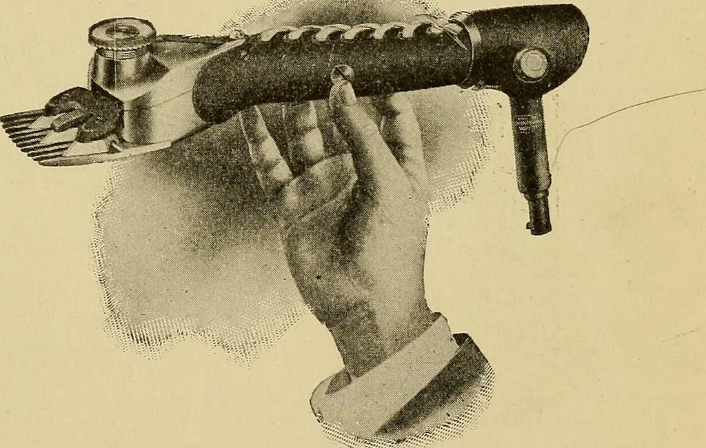 An illustration from How we are clothed ; a geographical reader, 1904, leaf 76