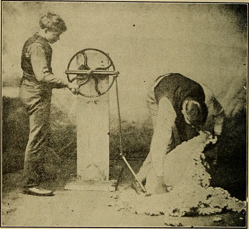 An illustration from How we are clothed ; a geographical reader, 1904, leaf 77