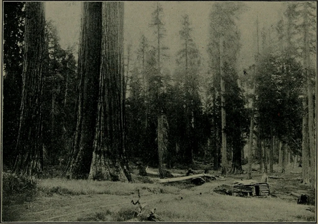 An illustration from How we are sheltered; a geographical reader, 1906, leaf 107