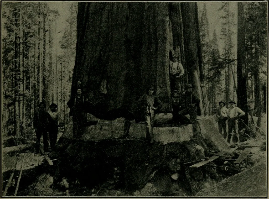An illustration from How we are sheltered; a geographical reader, 1906, leaf 122