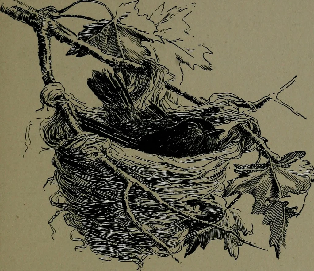 An illustration from How we are sheltered; a geographical reader, 1906, leaf 20