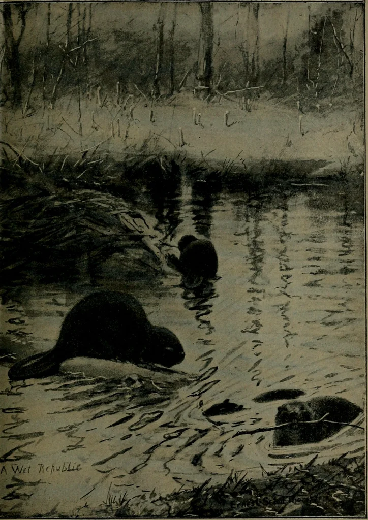 An illustration from How we are sheltered; a geographical reader, 1906, leaf 22