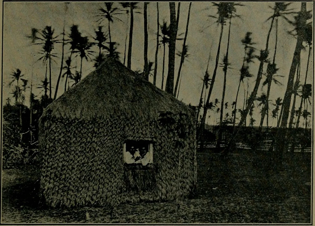 An illustration from How we are sheltered; a geographical reader, 1906, leaf 24