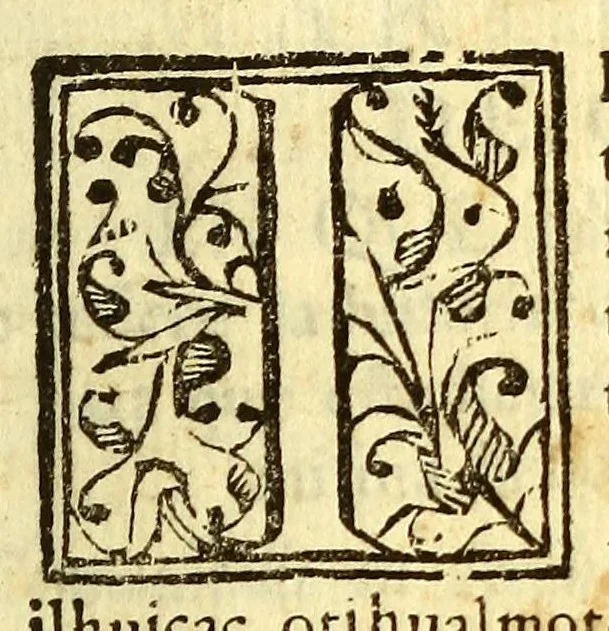 An illustration from Huei tlamahuiçoltica omonexiti in ilhuicac tlatóca Çihuapilli Santa Maria Totlaçònantzin Guadalupe in nican huei altepenahuac Mexico itocayocan tepeyacac, 1649, leaf 47