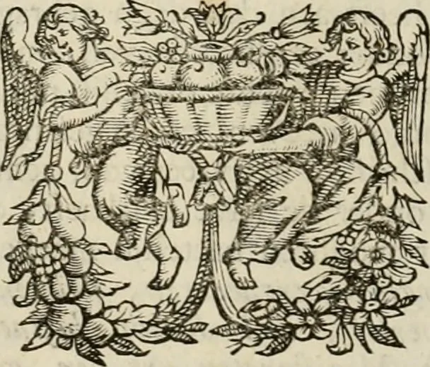An illustration from Hugo de Groots Nederlandtsche jaerboeken en historien : sedert het jaer MDLV tot het jaer MDCIX : met De belegering der stadt Grol en den aenkleven des jaers MDCXXVII, als ook Het tractaet van de Batavische nu Hollandtsche Republyk, en De vrye zeevaert : met aenteeckeningen, voorts met het leven des schrijvers, twee volkomen registers, en veele koopere platen verciert, 1681, leaf 203