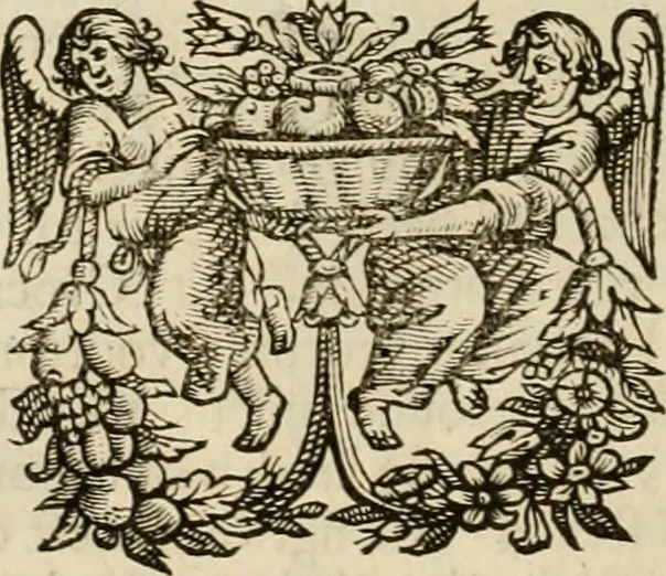 An illustration from Hugo de Groots Nederlandtsche jaerboeken en historien : sedert het jaer MDLV tot het jaer MDCIX : met De belegering der stadt Grol en den aenkleven des jaers MDCXXVII, als ook Het tractaet van de Batavische nu Hollandtsche Republyk, en De vrye zeevaert : met aenteeckeningen, voorts met het leven des schrijvers, twee volkomen registers, en veele koopere platen verciert, 1681, leaf 393