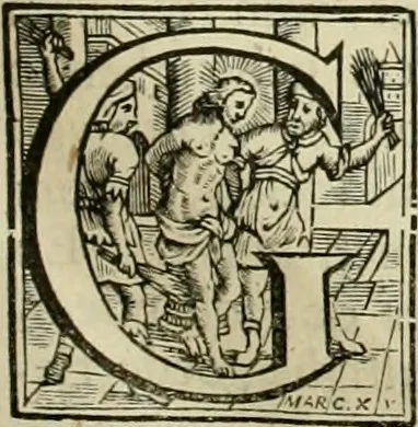 An illustration from Hugo de Groots Nederlandtsche jaerboeken en historien : sedert het jaer MDLV tot het jaer MDCIX : met De belegering der stadt Grol en den aenkleven des jaers MDCXXVII, als ook Het tractaet van de Batavische nu Hollandtsche Republyk, en De vrye zeevaert : met aenteeckeningen, voorts met het leven des schrijvers, twee volkomen registers, en veele koopere platen verciert, 1681, leaf 394