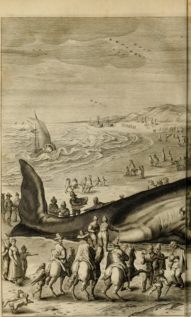 An illustration from Hugo de Groots Nederlandtsche jaerboeken en historien : sedert het jaer MDLV tot het jaer MDCIX : met De belegering der stadt Grol en den aenkleven des jaers MDCXXVII, als ook Het tractaet van de Batavische nu Hollandtsche Republyk, en De vrye zeevaert : met aenteeckeningen, voorts met het leven des schrijvers, twee volkomen registers, en veele koopere platen verciert, 1681, leaf 475