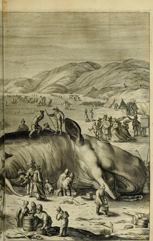 An illustration from Hugo de Groots Nederlandtsche jaerboeken en historien : sedert het jaer MDLV tot het jaer MDCIX : met De belegering der stadt Grol en den aenkleven des jaers MDCXXVII, als ook Het tractaet van de Batavische nu Hollandtsche Republyk, en De vrye zeevaert : met aenteeckeningen, voorts met het leven des schrijvers, twee volkomen registers, en veele koopere platen verciert, 1681, leaf 476