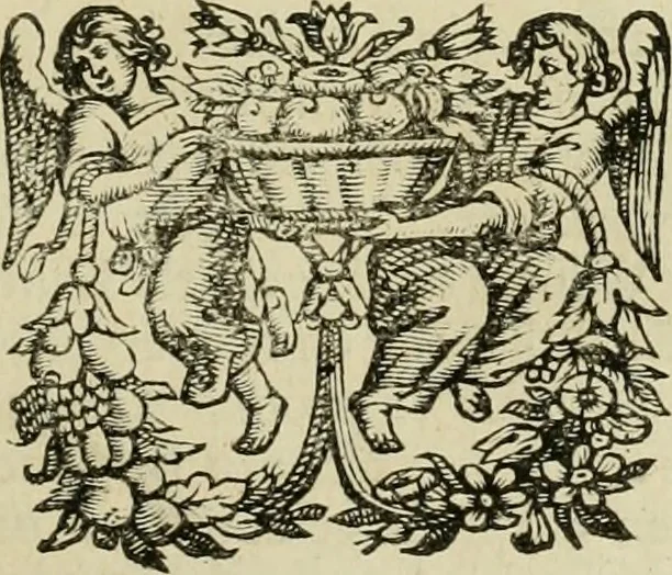 An illustration from Hugo de Groots Nederlandtsche jaerboeken en historien : sedert het jaer MDLV tot het jaer MDCIX : met De belegering der stadt Grol en den aenkleven des jaers MDCXXVII, als ook Het tractaet van de Batavische nu Hollandtsche Republyk, en De vrye zeevaert : met aenteeckeningen, voorts met het leven des schrijvers, twee volkomen registers, en veele koopere platen verciert, 1681, leaf 596