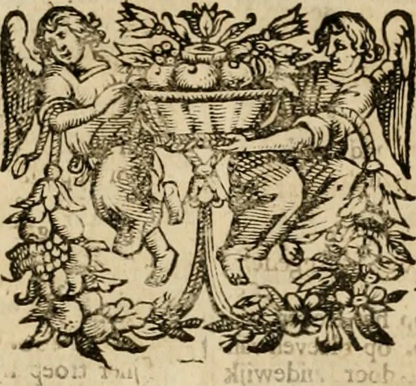 An illustration from Hugo de Groots Nederlandtsche jaerboeken en historien : sedert het jaer MDLV tot het jaer MDCIX : met De belegering der stadt Grol en den aenkleven des jaers MDCXXVII, als ook Het tractaet van de Batavische nu Hollandtsche Republyk, en De vrye zeevaert : met aenteeckeningen, voorts met het leven des schrijvers, twee volkomen registers, en veele koopere platen verciert, 1681, leaf 797