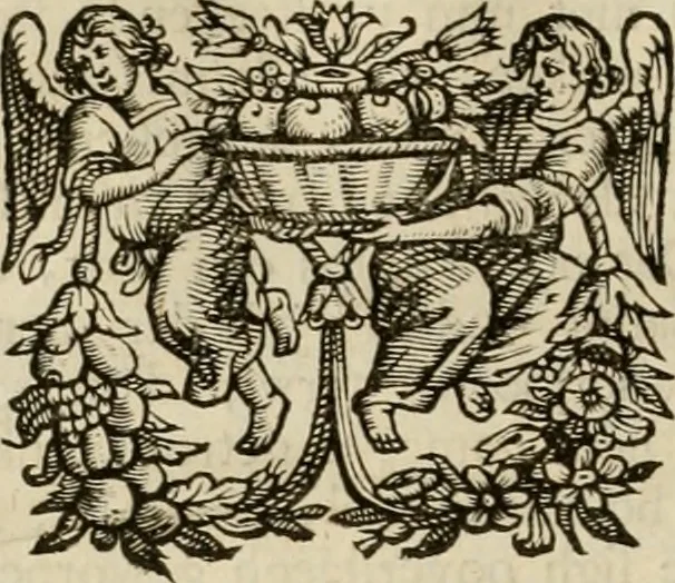 An illustration from Hugo de Groots Nederlandtsche jaerboeken en historien : sedert het jaer MDLV tot het jaer MDCIX : met De belegering der stadt Grol en den aenkleven des jaers MDCXXVII, als ook Het tractaet van de Batavische nu Hollandtsche Republyk, en De vrye zeevaert : met aenteeckeningen, voorts met het leven des schrijvers, twee volkomen registers, en veele koopere platen verciert, 1681, leaf 85